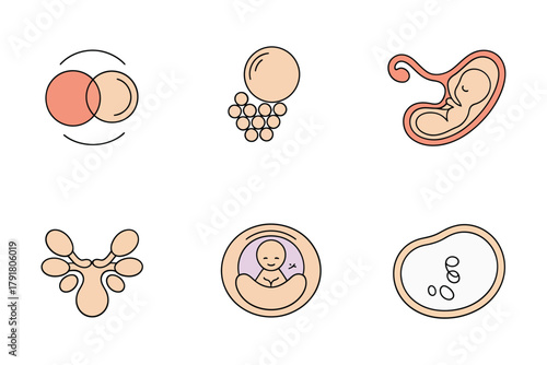 Flat vector icons for reproduction, featuring embryo, fetus, uterus, representing human development and medical science,
