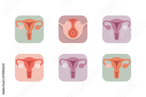 Flat vector icons for women's anatomy, featuring uterus, ovaries, fallopian tubes, representing gynecology and health,