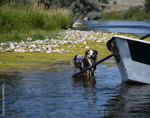 The national flag of Greece flying in front of a blue church steeple.
