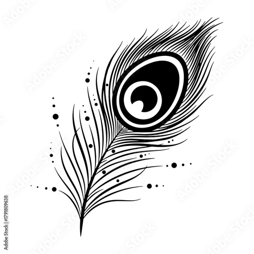 Peacock feather illustration