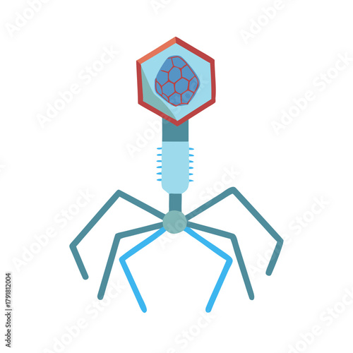 T2 faz bacteriophage virus