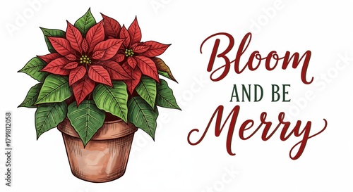 Festive Poinsettia Plant in Pot with Bloom and Be Merry Holiday Greeting Calligraphy Text on White Background