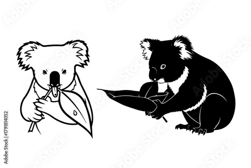 silhouettes pack of Koala drinking from a leaf, flat black outline on pure white background.