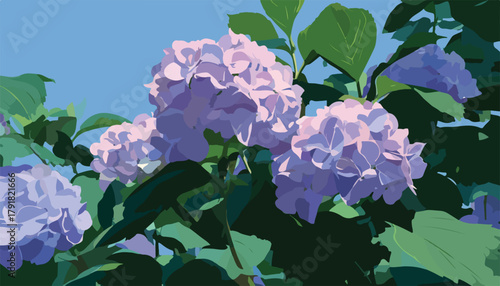 푸른 하늘 아래 활짝 핀 보라색 수국 꽃송이가 싱그러운 여름날의 자연을 표현합니다.
