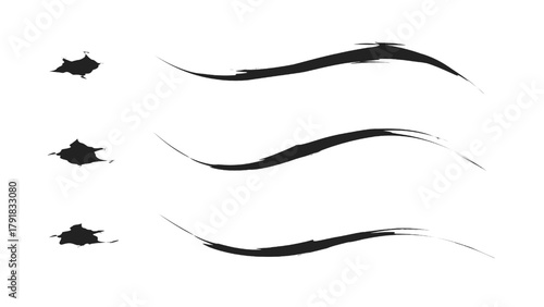 Set of black grunge brush strokes