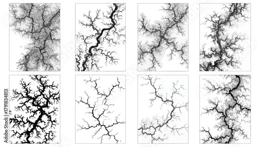 추상적인 가지 모양의 패턴은 자연의 복잡한 구조를 연상시키는 예술적인 디자인입니다.