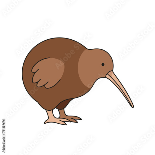 Brown Kiwi Bird