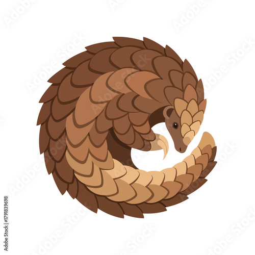 Armored Pangolin Curling