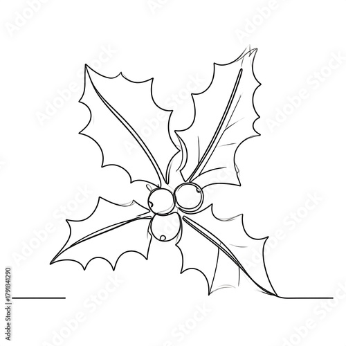 Wallpaper Mural Black and white line drawing of a sprig with three round berries. The leaves have a jagged edge Torontodigital.ca