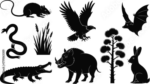 WebWild animals and nature silhouette illustration with boar, eagle, bat, crocodile, snake, mouse, rabbit, and plants, wildlife vector design art