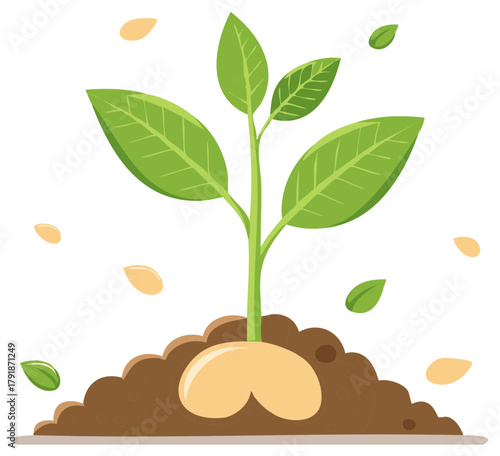 Sprout growing in soil with seed with leaves, seedling emergence, spring, agriculture, concept of growth, vector
