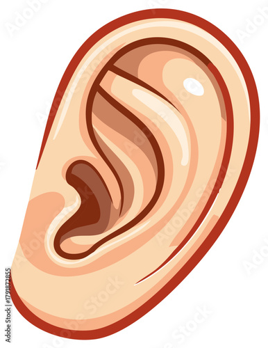 Simple cartoon illustration of a human ear for anatomy and hearing concepts