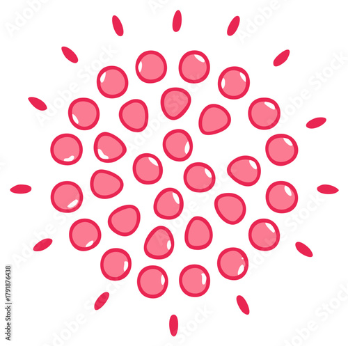 Illustration of round red cells with tail-like structures on white background