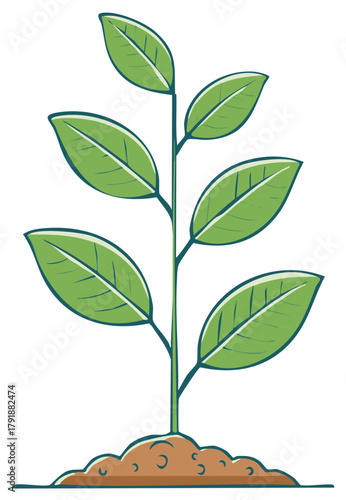 Young green plant sprouting from a mound of fertile soil representing growth nature and new beginnings