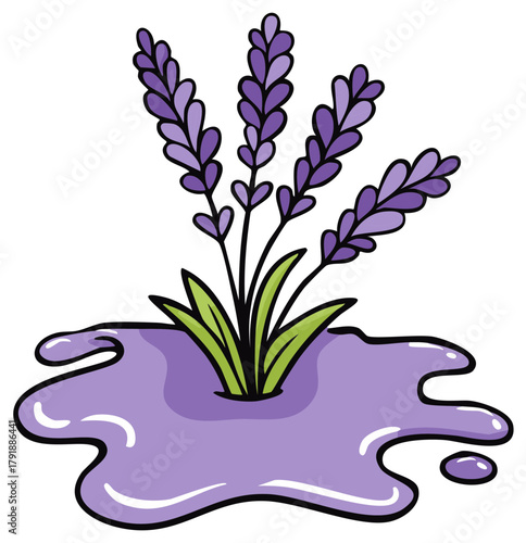 Illustration of lavender herb flowers growing in a puddle of lavender colored liquid