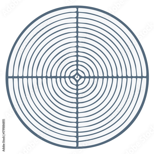 Concentric Circle Target with Crosshairs Geometric Pattern