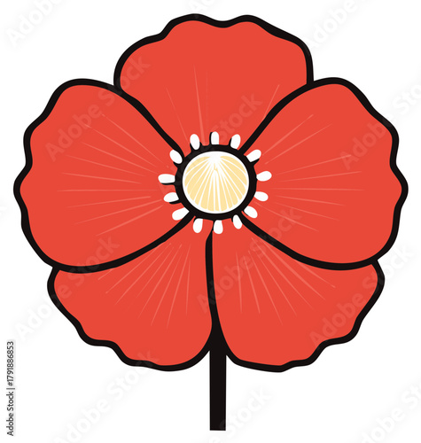 Simple graphic illustration of a red poppy flower a symbol of remembrance and peace