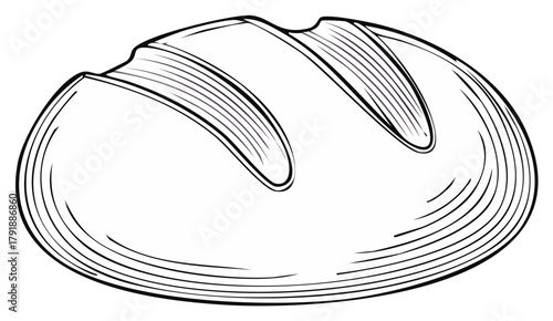Vintage Hand Drawn Crusty Loaf of Bread Illustration in Engraving Style
