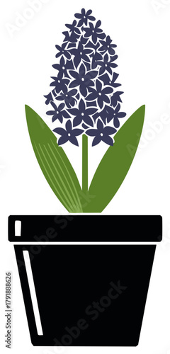 Stylized Illustration of a Purple Hyacinth Flower in a Black Pot