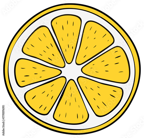 Illustration of a sliced lemon. Hand drawn fruit with yellow pulp and white pith and black outline.