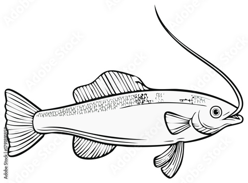 Line art illustration of a fish with a lure or fishing line extending from its mouth