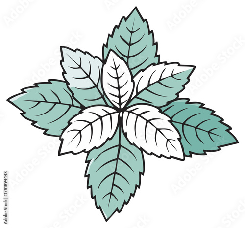 Stylized fresh mint leaves vector icon. Aromatic herb illustration for cooking and wellness.