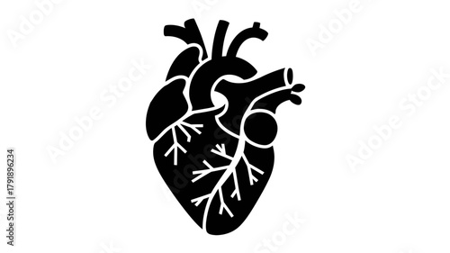A stylized black silhouette of a human heart with anatomical details is shown against a white background.