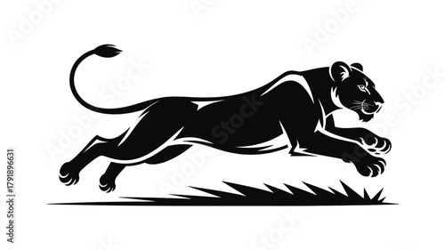 A black panther leaps forward across a field of grass with its tail raised.