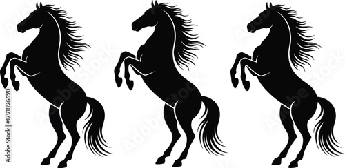 Three black horses stand on their hind legs with their manes flowing.