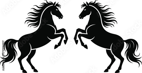 Two black horses rearing up on their hind legs against a white background.