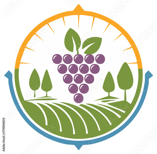 Vineyard landscape with grapes and compass circle logo