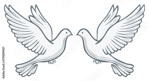 Two symmetrical flying white doves representing love peace and harmony