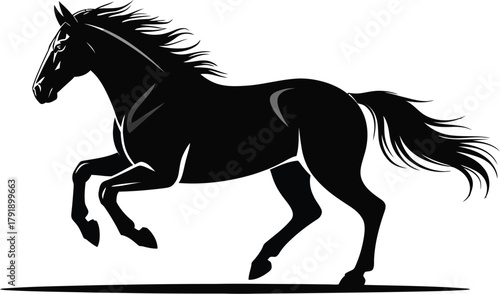 A silhouette of a black horse running with its mane flowing.