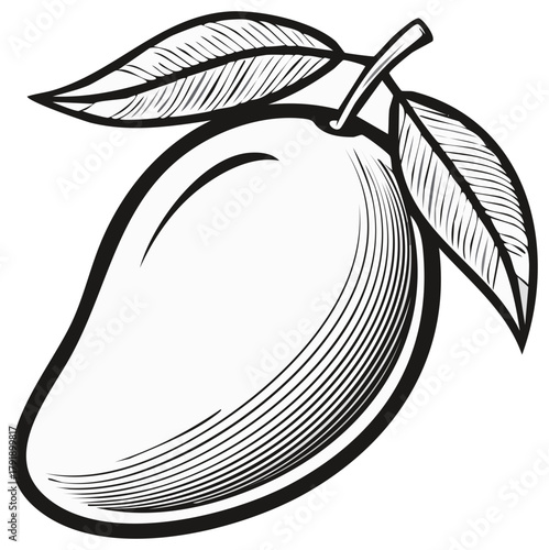 A classic engraved style black and white illustration of a ripe mango fruit with leaves perfect for healthy eating designs