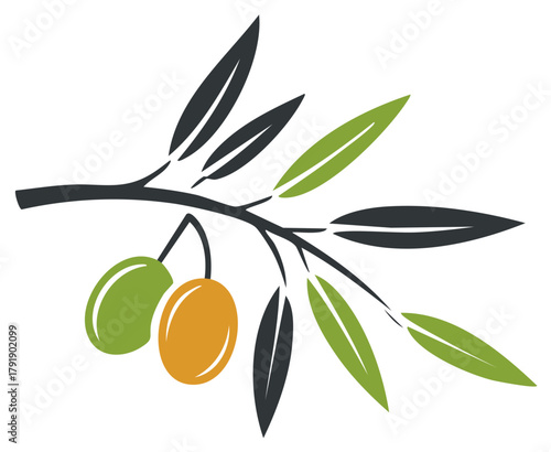 Stylized olive branch with green and amber olives and dark leaves