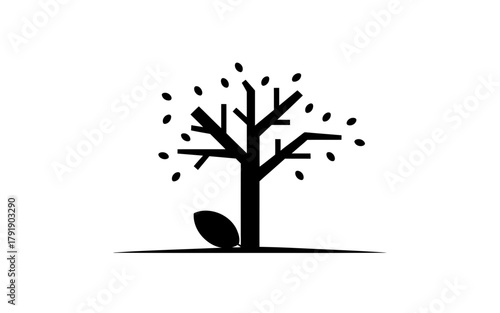 Stylized illustration of a bare tree with falling leaves and a seed on white background.