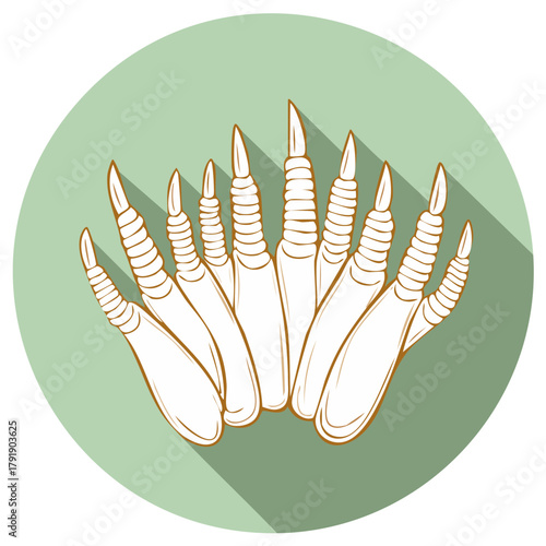 Stylized Bird Footprint Illustration with Sharp Claws and Shadow Effect