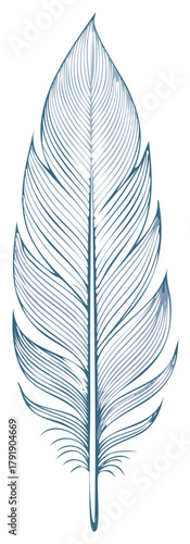 Detailed drawing of a feather in a blue color on a white background, minimalist design.