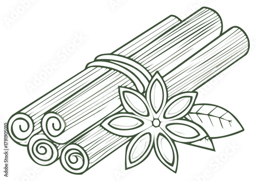 Hand drawn outline of fragrant cinnamon quills bundled with star anise and green leaf