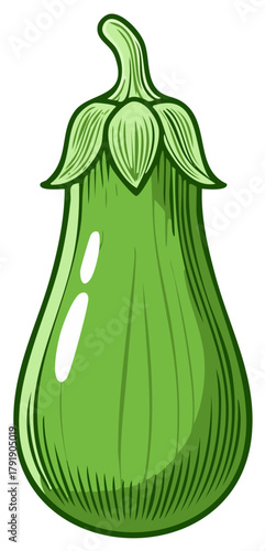 Green illustration of an eggplant. Graphic vector illustration isolated.