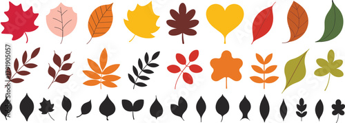 Leaf illustration set, colorful and silhouette leaves, autumn design, botanical shapes, seasonal nature, vector foliage, educational chart, fall elements