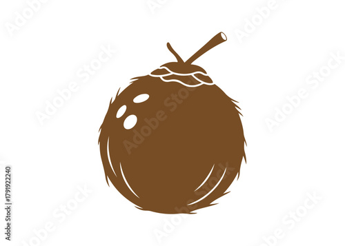 Coconut fruit icon graphic design vector
