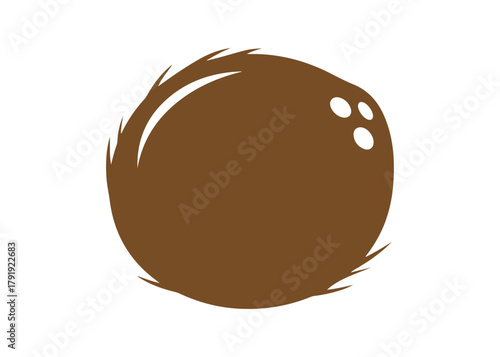 Coconut fruit icon in a vector design style

