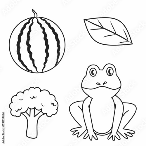 Black and white coloring illustration set of green color objects — frog, broccoli, leaf, and grass. Perfect for color learning worksheets and preschool printable coloring pages.