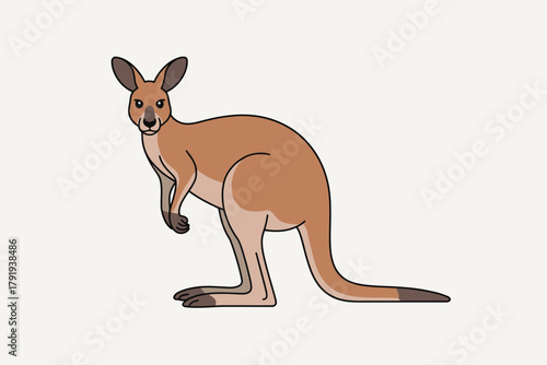 Illustration of a standing kangaroo with a light brown coat and dark outline