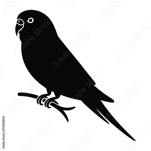 Budgie perched side view Vector, Silhouette, Illustration