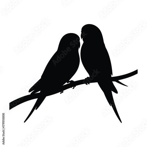 Pair of budgies together Vector, Silhouette, Illustration