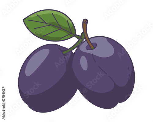 Two ripe purple plums with a green leaf on a white background