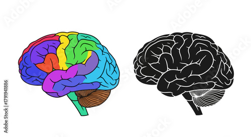 Colorful brain illustration contrasted with a black and white brain depiction