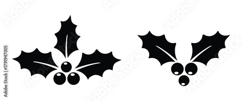 Holly berry leaves for christmas decoration vector graphic